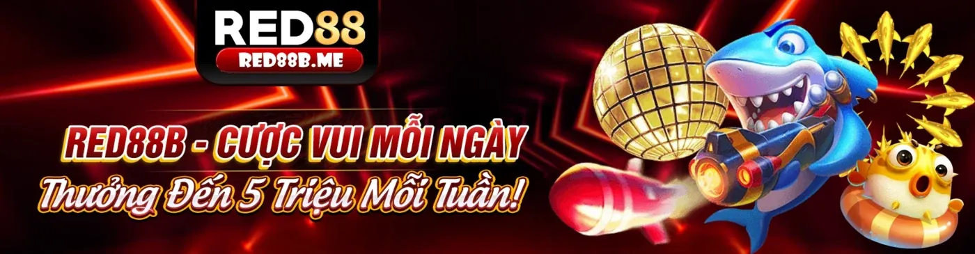 Người chơi đang tận hưởng cá cược trực tuyến tại 222wim link vào
